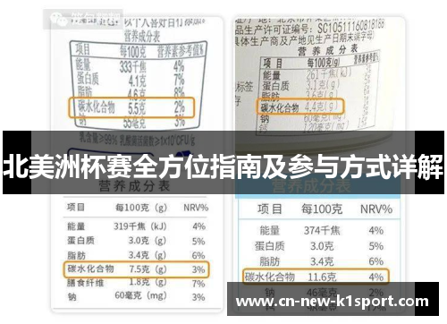北美洲杯赛全方位指南及参与方式详解
