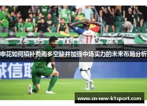 申花如何填补费南多空缺并加强中场实力的未来布局分析