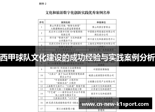 西甲球队文化建设的成功经验与实践案例分析