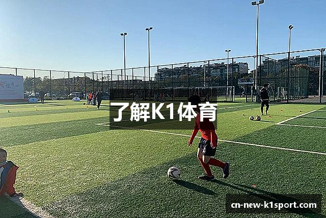 了解K1体育